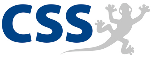 Logo der CSS GmbH